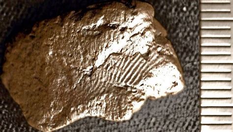 İ­s­k­o­ç­y­a­’­d­a­ ­5­ ­b­i­n­ ­y­ı­l­l­ı­k­ ­ç­ö­m­l­e­k­t­e­ ­p­a­r­m­a­k­ ­i­z­i­ ­k­e­ş­f­e­d­i­l­d­i­ ­-­ ­D­ü­n­y­a­ ­H­a­b­e­r­l­e­r­i­